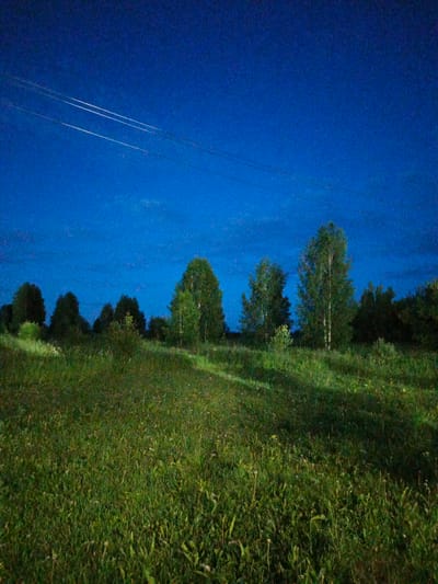 The image depicts a natural scene in Kalachevo, Russia. The foreground is dominated by a field of tall, green grass, suggesting a rural or wilderness setting. In the mid-ground, a line of trees forms a natural boundary, with varying densities and heights, some appearing as deciduous trees with full foliage. The sky above is a deep, dark blue, indicative of twilight or early night. Faint white contrails from an aircraft are visible in the upper portion of the sky, suggesting an airplane passed overhead. The lighting suggests it is dusk or very early night, with minimal artificial illumination. No people or specific objects are discernible in the image, and there is no visible text. The overall mood is serene and tranquil, characteristic of a peaceful evening in the countryside.