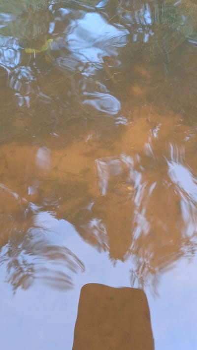 The image shows a close-up, overhead view of shallow, murky water with a sandy or muddy bottom. Reflections of foliage and a pale blue sky are visible on the rippling surface. A dark, irregularly shaped object, possibly a rock or debris, protrudes from the water in the lower right quadrant of the image. The scene appears to be a natural body of water, such as a pond, stream, or puddle, in an outdoor environment. No specific landmarks or details suggest a location within the city of Vālodzes, Latvia.