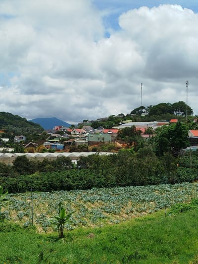 The image depicts a rural landscape in Xuân Sơn, Vietnam, characterized by rolling hills covered in lush vegetation and scattered settlements. In the foreground, a field of green crops, possibly vegetables, is visible, with a young banana tree standing prominently in the middle. Beyond the crop field, a dense expanse of trees separates it from a collection of houses nestled on a hillside. These houses are a mix of architectural styles, with some featuring red tile roofs and others modern, flat roofs. Several greenhouses, characterized by their white, translucent coverings, are also present among the dwellings, suggesting agricultural activity. In the background, a large, hazy blue mountain range forms the horizon, and two tall communication towers rise above the trees on the distant hills. The sky is partially obscured by a mix of white and gray clouds. The overall scene suggests a tranquil, agricultural community integrated with its natural surroundings.
