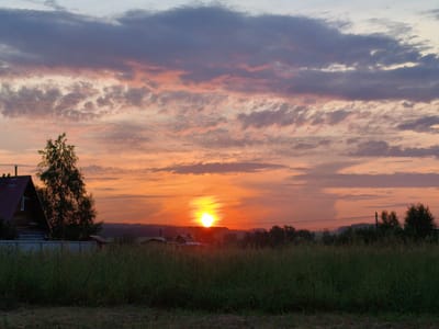 The image depicts a serene sunset over a rural landscape in Novostroika, Russia. The sky is a canvas of warm hues, with the sun as a bright orb just above the horizon, casting golden and orange light through wispy clouds that are tinged with pink and purple. Below the sky, a silhouette of rolling hills and trees stretches across the background, suggesting a vast, open space.

In the foreground, a lush field of tall green grass dominates the lower half of the frame. To the left, a wooden house with a red roof stands partially visible, its rustic architecture hinting at a simple, rural dwelling. A light-colored fence runs along the property line. The overall atmosphere is tranquil and peaceful, evoking a sense of calm and natural beauty. The time of day is clearly sunset, characterized by the low angle of the sun and the vibrant colors in the sky. The weather appears clear, with the clouds adding texture and color to the sunset. There are no people visible in the image, and no text is present.