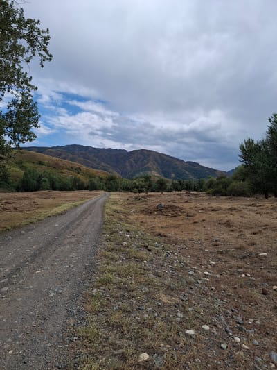 The image depicts a rural landscape with a gravel road winding through dry, grassy terrain. In the foreground, the road is composed of dark gravel and small stones, bordered by sparse, dry vegetation. To the left, a portion of a tree with green leaves extends into the frame from the top. The midground features a wide expanse of dry, golden-brown grass dotted with scattered rocks and small bushes. A line of trees with lush green foliage stretches across the middle distance, separating the open field from the rolling hills beyond. The background is dominated by large, undulating hills with a muted brown and green coloration, indicating dry vegetation and possibly bare rock in some areas. The sky above is partially cloudy, with patches of blue sky visible through a mix of light gray and darker, more ominous clouds. The scene appears to be set in the outskirts of Сапақ, Kazakhstan, characterized by its arid climate and hilly topography.