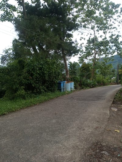 The image depicts a rural or semi-rural road in Hasanparthy mandal, India, under an overcast sky. A grey paved road, possibly asphalt or concrete, occupies the foreground and middle ground, curving upwards and to the right, receding into the distance. The road appears to have minor debris and discoloration on its surface.

To the left of the road, a grassy verge transitions into dense, verdant vegetation. This includes thick green bushes, smaller plants, and several trees. A prominent conifer-like tree with dark green needles stands on the upper left, while another deciduous tree with lighter green foliage is visible to its right. Faint utility lines are present in the upper left background, strung between unseen poles.

At the base of the trees on the left side of the road, three blue cylindrical objects are visible. Two appear to be concrete pipes or similar structures, while a third, darker blue rectangular container is stacked on top of one of the cylinders. Beyond these objects, the dense foliage continues up a slight incline.

To the right of the road, the shoulder is unpaved, consisting of dirt and scattered rocks. In the background, forested hills or mountains are visible under the cloudy sky. No individuals or animals are present, and no discernible actions or interactions are occurring within the frame.