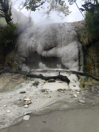 The image depicts a natural scene at the hot springs in Gakhomela, Georgia. A large, mineral-encrusted rock formation, appearing white and somewhat porous, dominates the center of the frame. Water trickles down the face of this formation, creating a curtain of fine spray. Lush green foliage, including moss-covered branches and leaves, frames the top and sides of the scene, suggesting a humid, natural environment. In the foreground, a dark, weathered log lies horizontally across a bed of white mineral deposits and scattered stones. The ground is a mixture of sand and mineral residue, with various-sized rocks and pebbles strewn about. Steam or mist is visible rising from the hot springs, particularly around the base of the rock formation, contributing to a hazy atmosphere. The overall impression is one of a rugged, geothermally active landscape.