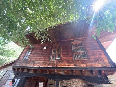 A low-angle, exterior shot captures the upper portion of a rustic, wooden house in Zheravna, Bulgaria. Lush green foliage from an overhanging tree drapes across the top of the image, with sunlight dappling through the leaves and creating bright lens flares. The house itself is constructed of dark, weathered wooden planks, with a tiled roof visible beneath the branches. Several windows with multi-pane glass are set into the wooden facade. Decorative carvings are visible along the eaves of the house. The lower part of the house shows a stone foundation and more wooden structures, including what appears to be an entranceway. A small, white sign with text and a French flag is visible near the entrance. A person, seen from the shoulders up, wearing a light-colored top, is partially visible on the far left, looking upwards.