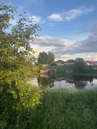 This image depicts a tranquil scene by a body of water, likely in the city of Chastyye, Russia. In the foreground, lush green foliage and tall grass dominate the left and bottom portions of the frame, with a tree branch heavily laden with leaves extending from the upper left. The water, reflecting the sky and surrounding structures, occupies the middle ground. Several wooden sheds or outbuildings are situated along the waterline on the opposite bank. Beyond the sheds, a row of houses with reddish-brown roofs and a fence are visible, nestled amidst trees and vegetation. The sky above is a mixture of blue with scattered white and grey clouds, suggesting either early morning or late afternoon. There are no people or animals visible in the image.