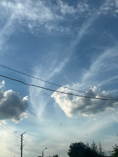 The image shows a clear blue sky with wispy white clouds, suggesting a pleasant weather day in Novo Zhelezare, Bulgaria. Two dark, thick power lines stretch horizontally across the mid-section of the frame. Below these lines, on the left side of the image, a large, dark gray cloud is visible. Further to the right, there are patches of white, fluffy clouds. The lower portion of the image reveals the environment of Novo Zhelezare, with utility poles and streetlights indicating a residential or urban area. One prominent utility pole with multiple wires branching out stands on the left. A streetlight is positioned to the right of this pole. Silhouetted trees and evergreen saplings are visible at the very bottom of the frame, grounding the scene in the Bulgarian landscape. The overall impression is of a sky scene viewed from a ground-level perspective within a populated area.