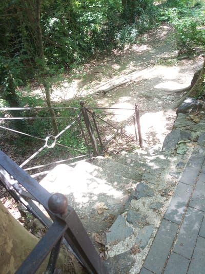 The image captures a descending stone staircase bordered by a metal railing and lush vegetation. Sunlight filters through the dense green foliage, casting dappled shadows across the weathered stone steps and the adjacent pathway. The pathway appears to be made of cobblestones or large, irregular stones. A brown, textured tree trunk is visible on the left side of the frame, near the top of the staircase. The overall scene suggests an outdoor setting, possibly a park or a natural area within the city of Olot, Spain. No people or discernible actions are present in the image.