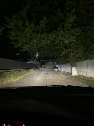 A first-person perspective, looking out from inside a vehicle, captures a nighttime scene on a paved road in Subutli-Miatli, Russia. The road is illuminated by the vehicle's headlights, casting a bright beam forward. To the left of the road, a tall, gray concrete wall runs parallel, with a faint embankment of dry grass and weeds at its base. Beyond the wall, the darkness suggests a dark landscape. To the right of the road, a large tree with dense green foliage arches over the scene, its branches extending across the upper portion of the image. A white-painted tree trunk is visible near the wall. Further down the road, a parked, dark-colored sedan is visible. In the background, houses with windows can be seen, and a streetlamp emits light. The overall impression is a quiet, somewhat deserted road under the cover of darkness.