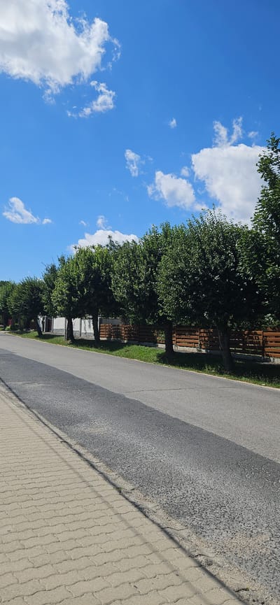 A treelined street in Cserszegtomaj, Hungary, is captured on a sunny day. The road is asphalt, bordered by a paved sidewalk. Mature trees with dense green foliage stand along the right side of the road, casting shadows across the asphalt. Beyond the trees, a wooden slatted fence encloses properties. The sky above is a vibrant blue, dotted with fluffy white clouds. The scene appears quiet and residential.