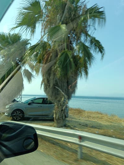 The image shows a car driving alongside a coastal road in the Municipal Unit of Sikyona, Greece. A gray car is visible on the right side of the road, parked or driving. Palm trees are prominent in the foreground and background. The sea is to the right of the road, with dry grass and some debris on the embankment. The sky is clear and blue. The image appears to have been taken from another vehicle, possibly through a window, as evidenced by reflections and a view of a car's side mirror in the lower left corner.