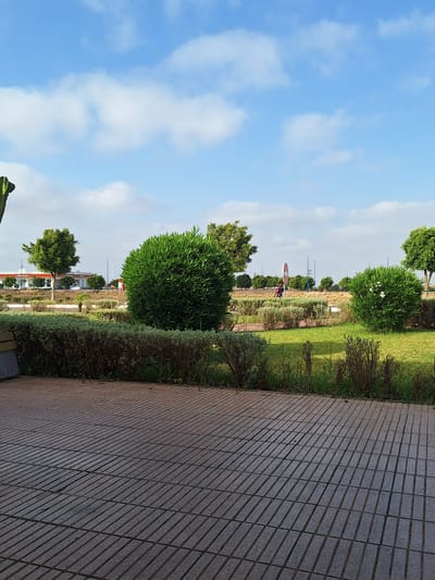 The image depicts an outdoor scene in Oulad Hcine, Morocco, featuring a paved walkway in the foreground and a manicured garden with various shrubs and trees in the middle ground. A road is visible in the background with a few buildings and streetlights. The sky is blue with scattered white clouds. A person wearing a dark t-shirt and lighter colored pants is walking on the road, facing away from the camera. The overall impression is that of a well-maintained public space on a clear day.