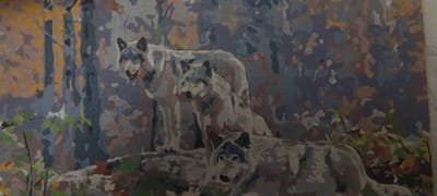 The image is a painting of three wolves in a forest setting. The wolves are depicted in various shades of gray, white, and black. The background consists of trees with blue and yellow foliage, suggesting an autumn scene. One wolf is in the foreground, facing the viewer. Behind it, two other wolves are visible, with one standing and looking to the left, and the other partially obscured by the standing wolf. The painting style appears to be that of a paint-by-numbers artwork, characterized by distinct brushstrokes and outlined areas of color. The location of Покосное, Russia is not depicted or suggested by the image.