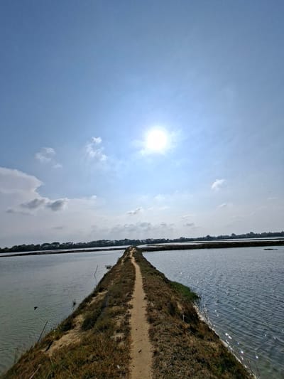 A dirt path stretches into the distance, dividing two large bodies of water. The path is lined with dry grass and sparse vegetation. The water on the left appears calmer and slightly murkier, while the water on the right is more reflective, showing the sun's glare. In the background, a line of trees forms the horizon. The sky is bright blue with a few scattered clouds and the sun is prominently visible, casting a strong light. There are no people or animals visible in the image. The location is Dayahtuha, Indonesia.