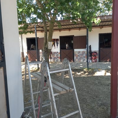 The image depicts a horse stable in Çatalca, Turkey. In the foreground, two ladders are set up, one in front of the other, with wooden planks placed across the rungs of the front ladder. Beyond the ladders, the stable appears to have at least two open stalls, each with a horse visible. The horse on the left has a light-colored coat and is looking forward, while the horse on the right has a darker coat and is also looking out of its stall. Various horse tack, including bridles and reins, are hanging on a wall to the left of the right-hand stall. Several red crates are stacked near the right-hand stall, containing various items. The stable has a covered roof, and the walls are partly decorated with stone tiles. The ground is covered with dirt and straw. The environment suggests an outdoor equestrian facility.