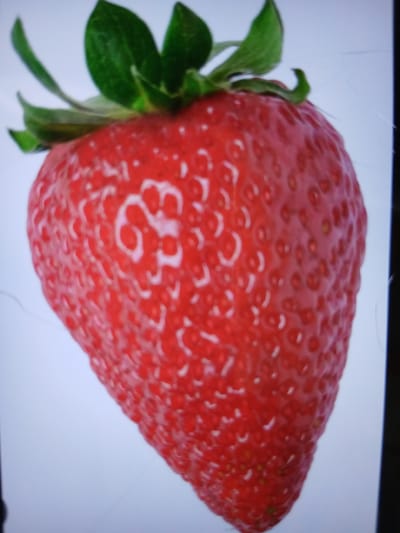 The image shows a close-up of a single, ripe strawberry against a light-colored background. The strawberry is a vibrant red with numerous small seeds visible on its surface. Some of these seeds appear to have white or light-colored highlights. The top of the strawberry features several green leaves, likely the calyx. The background is mostly white, with some subtle light-colored lines or streaks visible, possibly indicating a screen or a textured surface. There are no people, actions, or interactions depicted in the image. The image does not provide any information about the city of Auk, Kyrgyzstan.