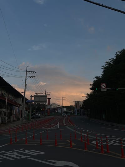 A street scene in Pocheon-si, South Korea, captures a dusk sky with soft, peach-colored clouds against a deepening blue. The perspective looks down a road lined with orange traffic cones and bollards, separating lanes with red and white markings. On the left, a low-rise building with visible windows and air conditioning units sits adjacent to the sidewalk, with power lines stretching across the frame overhead. On the right, a dense line of dark green trees partially obscures the view of buildings and a traffic light. A circular sign with a red border and a diagonal line through a right-turning arrow is visible above the traffic light. The road itself is dark asphalt, with white lane markings and some Korean text painted on the surface in the foreground. The overall atmosphere is tranquil, with the approaching twilight casting shadows and a muted light. No people are clearly visible in the scene.