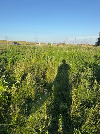 The image depicts a sunny outdoor scene in Starokhalilovo, Russia. The perspective is from a low angle, looking up at a bright blue sky that dominates the left side of the frame. A vast field of tall, green grass and wildflowers stretches across the right side and into the background. In the distance, along the horizon, are glimpses of rural buildings with red roofs, suggesting a village or settlement. A dark-colored vehicle is parked in the middle ground.
A prominent shadow of two people, likely a couple given the silhouette of two distinct heads, is cast upon the grassy field. This suggests the photo was taken by one of the individuals, capturing their presence in the landscape. The lighting indicates it is late afternoon or early evening, with the sun casting long shadows and illuminating the grass with a warm glow. The clear sky and lush greenery suggest fair weather. The overall mood is serene and peaceful, evoking a sense of connection with nature and a quiet moment in a rural setting. No text is visible in the image.