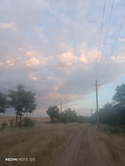 The image shows a dirt road winding through a dry, grassy field. On either side of the road, there are trees and vegetation. In the background, there are power lines and poles stretching across the landscape. The sky is partially cloudy with soft, pinkish-white clouds, suggesting it might be either sunrise or sunset. The overall scene depicts a rural or semi-rural environment. There are no people or animals visible in the image.
