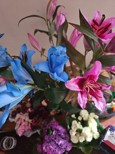 The image displays a close-up view of a floral arrangement situated indoors on a dark, polished surface, in the Cherwell District, United Kingdom. The central focus is a mixed bouquet dominated by various lilies. On the left and extending into the center, several blue lilies are visible; one is fully open, showcasing a slightly ruffled appearance, while others are partially opened or in bud form. To the right, multiple pink and magenta lilies are present, one fully bloomed with prominent stamens and pistils, featuring darker pink streaks within its petals. Numerous pink lily buds are also interspersed throughout the arrangement. Dark green foliage from the lily stems is visible. Below the lilies, toward the bottom of the frame, are clusters of smaller flowers: a dense mass of small, purple florets on the left, and a dense cluster of small, white or cream florets on the right. Between these, obscured elements resembling dried or mixed smaller flowers in various pink and maroon tones are visible. On the far left, resting on the dark surface, is a stack of several transparent or white rings. On the far right, a partial view of a metallic object, possibly a desk stapler, is visible. The background consists of a plain, light-colored wall or surface, likely beige. No people are visible. No specific actions or interactions are depicted beyond the static arrangement of objects.