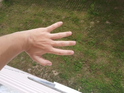 The image shows a person's hand, held palm up, with fingers extended. The background is a patch of grass and dirt. A striped surface is visible in the lower left corner. The image was taken in the city of Pudozh, Russia.