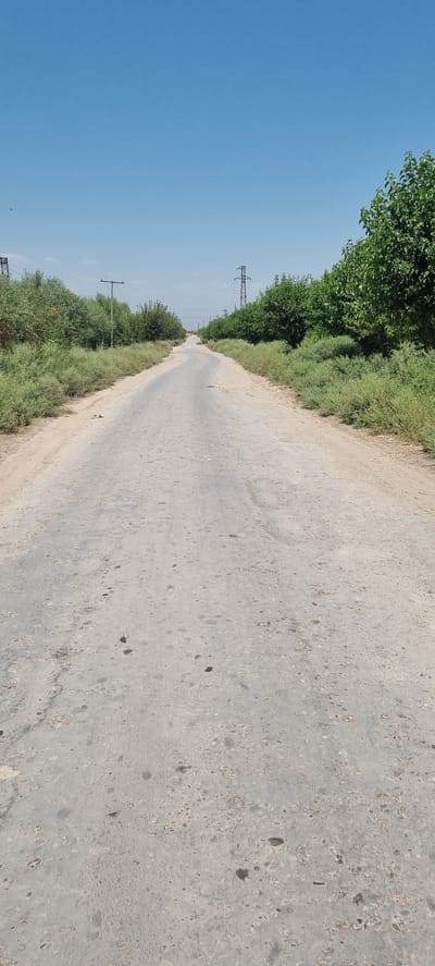A paved, rural road stretches into the distance, curving gently to the left. The road surface is a light gray asphalt, showing signs of wear with scattered dark patches and a somewhat rough texture. On either side of the road, dense green bushes and trees line the way. Tall, thin utility poles with wires are visible intermittently along the sides of the road, some with large lattice-like structures suggesting power transmission towers further back. The sky above is a clear, bright blue with no clouds. The scene depicts a sunny day in a rural area outside of the city of Khavaskor, Tajikistan.