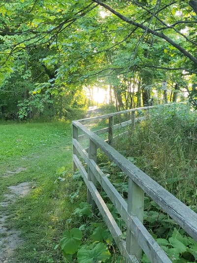 A wooden fence runs along the right side of a dirt path that curves into a wooded area. Sunlight filters through the lush green leaves of trees overhead, casting dappled shadows on the path and surrounding grass. The path leads towards a bright opening in the trees, suggesting a clearing or a body of water. The scene evokes a sense of tranquility and nature. There is a sign visible on a pole in the distance which appears to have "STOPP" written on it. The time of day appears to be late afternoon or early evening due to the warm, golden light. The location is identified as Valaste, Estonia.