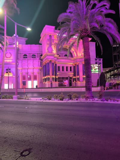 A nighttime scene in Paradise, United States of America, features a grand building illuminated with vibrant pink and purple lights. A large palm tree with purple-hued fronds stands prominently in the foreground, its trunk illuminated by the building's lighting. The building itself is ornate, with classical architectural elements such as columns, arches, and decorative carvings, all bathed in the colorful light.
A street runs alongside the building, with its asphalt surface reflecting the ambient light. A street lamp with a white light fixture is visible, casting a beam downwards. The overall atmosphere is one of opulent nightlife, suggesting a location associated with entertainment or luxury. The dark sky indicates it is nighttime. The weather appears calm.
Visible text includes "VILLIA" and what appears to be "ITALIAN" on a sign on the building. Another sign above shows images and text related to a show or event. The scene conveys a sense of excitement and visual stimulation, characteristic of a lively entertainment district.