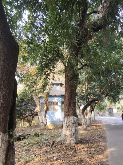 This image depicts an outdoor park scene in the Krishnasayer Eco Park (also known as Curzon Gate Park or Krishnasayer Park) located in Bardhaman, West Bengal, India. The central feature is a light blue, octagonal building with a dark conical roof, situated in the middle ground, partially obscured by trees. The building possesses multiple windows around its perimeter. A paved path or road runs along the right side of the frame, bordered by a row of mature trees with dark, textured bark, the bases of which are painted white. The ground beneath the trees is covered extensively with dry, brown fallen leaves and sparse undergrowth. In the far mid-ground, on the paved path, several indistinct human figures are visible. Further down the path, to the right of the octagonal building, a dark, rectangular monument on a pedestal is partially visible. The scene is illuminated by natural daylight, casting shadows and highlighting foliage.
