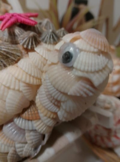 The image shows a close-up of a decorative item made of shells, resembling a turtle. A bright pink starfish is positioned on top of the shell creation. The background is blurred and appears to be an indoor setting with some dried plant material. There are no people visible, and no discernible location in the city of Wedel, Germany. The scene is static and the focus is on the shell turtle and starfish.