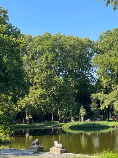 This media file shows a park scene on a sunny day. The image features a large body of water, likely a pond or lake, with its surface reflecting the surrounding greenery and blue sky. The water is a murky green color, and there are some ripples on its surface. On the right side of the water, a stone path or wall is visible, leading towards a structure with carved stone elements.
The left side of the image is dominated by lush green trees, some of which are quite large and leafy, suggesting a summer or late spring setting. The sunlight filters through the leaves, creating a dappled effect. In the background, there are more trees and a glimpse of people strolling in the park, some sitting on benches or near the water's edge. The overall impression is one of a peaceful, natural environment.
The time of day appears to be late morning or early afternoon, given the bright sunlight and clear sky. The weather seems pleasant and warm. While specific text is not visible, the presence of well-maintained paths, benches, and sculptures suggests a public park or garden. The scene evokes a sense of tranquility and relaxation. This park is located in Stupava, Slovakia.