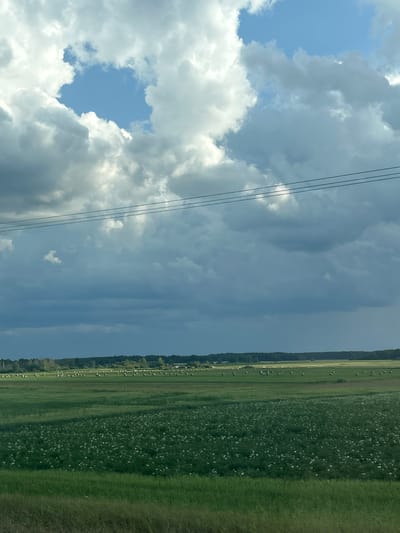 This is a wide, vertical, eye-level outdoor shot of a rural landscape. The sky is dominated by dramatic clouds, ranging from bright white cumulonimbus formations on the left and top, to dark, brooding storm clouds on the right. A gap in the clouds on the left reveals a patch of bright blue sky. Three dark, parallel power lines stretch horizontally across the upper portion of the frame. Below the sky, a distant treeline forms a dark green border separating the sky from the fields. In the middle ground, a vast green field is dotted with numerous round hay bales. The foreground features a lush green field with a dense covering of small white flowers. The image appears to capture the transition of weather over an agricultural area in Тарноўскі сельскі Савет, Belarus.