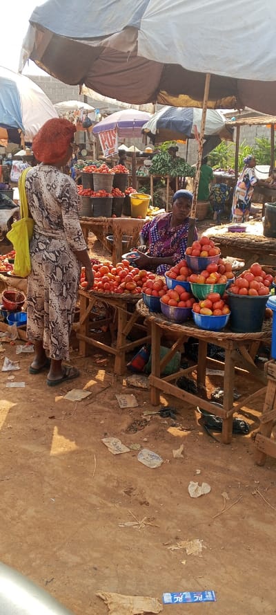 This vertical image captures a vibrant outdoor market scene, likely in Ketu Adieowe, Nigeria, under bright daylight. The ground is unpaved, consisting of reddish-brown dirt, with various pieces of litter scattered across it, including paper fragments partially showing "TERRA" and a blue and white "RC COLA" wrapper.

In the foreground, a customer stands with her back to the viewer, wearing a long, full-sleeved dress with a distinctive snakeskin-like pattern and an orange, mesh head covering. A bright yellow cloth bag is slung over her left shoulder. She faces a market stall heavily laden with fresh tomatoes.

Seated behind the tomato display is an older woman, presumably the vendor. She wears a purple and white patterned top and a blue headscarf, looking towards the camera with a neutral expression. Around her are numerous displays of red tomatoes, piled high in various containers including black buckets, round woven baskets, and colorful plastic bowls in shades of blue, purple, and green. These displays rest on simple wooden tables or stands.

The market is shaded by several large outdoor umbrellas of different colors, including white and brown, white and blue, and purple and white. One purple umbrella in the mid-ground prominently displays the red letters "POS". In the background, other market activities are visible, with additional people and stalls featuring produce like green leafy vegetables. The scene depicts a typical busy local market where daily transactions take place.