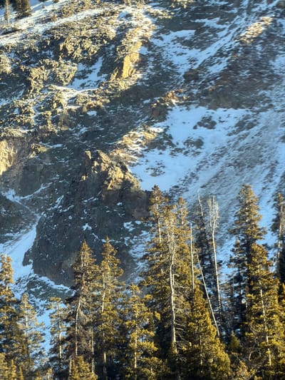 A steep, rocky mountain slope dominates the scene, partially covered in snow. Sunlight illuminates the lower portions of the rocky terrain, creating stark contrast. Evergreens cling to the edge of the slope, their branches extending horizontally. The perspective suggests a view from above, possibly from a higher vantage point or an aircraft.