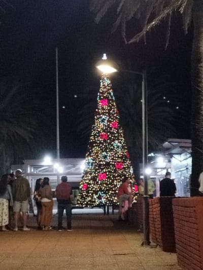 A brightly lit Christmas tree adorned with red bows and star-shaped lights stands tall at night. People gather around, some conversing, while others stand alone. A street lamp illuminates the top of the tree. Palm trees are visible in the background, adding to the scene's ambiance. A building with lit windows and another street lamp stand beside the Christmas tree. A low brick wall runs to the right of the tree.
