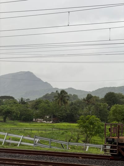 The image depicts a hazy, overcast day in Saphale, India. In the foreground, train tracks run horizontally across the bottom of the frame, with ballast beneath them. To the left of the tracks, a metal guardrail is visible, angled across a lush green field. The field itself is dotted with small trees and appears to be quite wet. In the middle ground, dense foliage of various green trees, including palm trees, creates a thick, natural barrier. Beyond the trees, misty, verdant mountains rise in the distance, their peaks softened by the atmospheric conditions. Overhead, multiple power lines stretch across the sky, supported by unseen poles. On the far right, the corner of a rusted train car is visible, featuring some metal grating and a small, faded sign. No people are visible in the image.