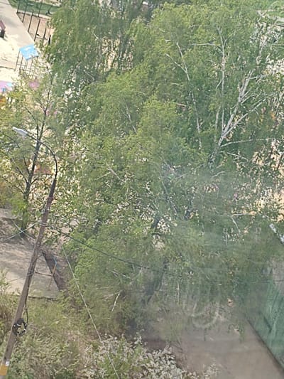 The image depicts an urban scene in Kstovo, Russia, viewed from an elevated position, possibly from a building window. A street and sidewalk are visible below, partially obscured by lush greenery, including several trees, one of which is a birch, identifiable by its distinctive white bark. A wooden utility pole with electrical wires runs vertically in the frame. To the left are indistinct objects like playground equipment, a light pole and a chair. The overall scene conveys an urban landscape integrated with nature.