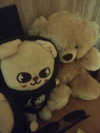 The image shows two stuffed animals, a light brown teddy bear and a yellow dog-like plush toy. The teddy bear is larger and positioned behind the dog toy. The dog toy is wearing a black hoodie with "Victory 200" printed on it in white and red lettering. They are resting on a surface that appears to be a wooden or textured wall in the background. A pair of dark sunglasses is visible in the lower right corner of the image. The lighting is dim, suggesting it might be indoors in the evening or a dimly lit room. There is no discernible indication of the specific location in the city of Pinsk, Belarus.
