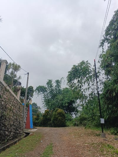 The scene depicts an outdoor, semi-rural pathway in Makilala, Philippines, under an overcast sky. A dirt and gravel path occupies the foreground and center, bordered on the left by a stone retaining wall constructed from dark, irregular stones. A narrow concrete drainage channel runs along the base of this wall. A utility pole, dark in color, stands to the left of the path, parallel to the retaining wall, supporting overhead electrical lines. Above the retaining wall, a metal fence and a white concrete pillar are visible. Further along the left side, behind the retaining wall, a gate or entrance structure with columns painted in red, white, and blue sections is partially discernible. The mid-ground features several rounded green bushes. To the right, dense green foliage, predominantly bamboo trees, dominates the background and right side of the frame. A second, darker utility pole stands on the far right of the path, partially obscured by bamboo. This pole features a red rectangular object affixed near its top and a small, light-colored electrical box mounted lower on its structure, with associated wiring. No individuals or animals are present in the image.