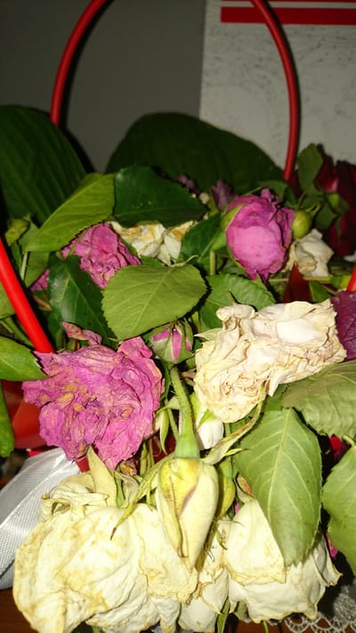 The image shows a close-up, vertically oriented, low-angle shot of a bouquet of wilting roses. The roses are predominantly a faded pink and off-white color, with some showing signs of browning and desiccation. Several green leaves are interspersed among the flowers. A red, curved handle, possibly part of a basket or vase, is visible at the top and left of the frame. A white ribbon or fabric is partially visible on the lower left. The background is out of focus, appearing as a textured gray wall with a red horizontal stripe towards the top. The lighting is dim, casting shadows and highlighting the textures of the wilting petals and leaves. The scene does not contain any people or discernible actions. The setting does not provide any specific visual cues to pinpoint a location within the city of Dvirets, Ukraine.