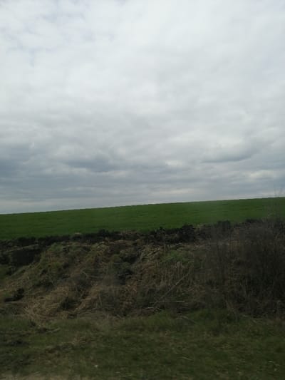 The scene, located in Venets, Bulgaria, captures an open agricultural landscape under a predominantly gray, overcast sky filled with stratiform clouds. A wide expanse of vibrant green crops, appearing to be young growth, occupies the midground, extending horizontally across the frame. Below the crop field, a strip of dark brown, freshly tilled earth is visible. The immediate foreground consists of a dense layer of dry, tangled, light brown vegetation mixed with organic debris, partially obscured on the right by a bare, dark-branched shrub. The very bottom edge of the image reveals a narrow strip of sparse green grass. No individuals, animals, or man-made structures are present within the frame.