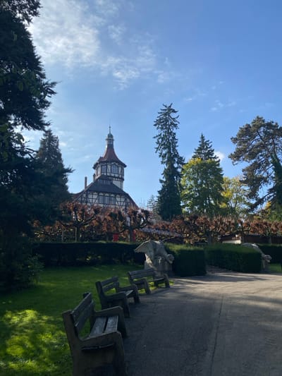 This image captures a sunny outdoor scene within Parc Salvator in Mulhouse, France, centered on the historic Villa Bernheim, home to the Musée du Papier Peint. The multi-story building in the mid-background features a distinctive central tower topped with a spire, characterized by its half-timbered architecture with dark beams and white infill on the upper levels, and a tiled roof. Various trees are present; tall coniferous trees flank and rise behind the villa, while a row of heavily pruned, bare-branched deciduous trees forms a distinct line in front of it. In the foreground, a dark, paved pathway curves towards the right, bordered on the left by three unoccupied, weathered park benches constructed from concrete and wooden slats. A low, dark green hedge runs parallel to the path, behind which two light-colored stone sculptures, resembling winged mythical creatures, are visible. A long, metallic extension ladder with a red component at its base is positioned on the far right, behind the hedge line. The scene is illuminated by natural sunlight under a clear blue sky with sparse white clouds, casting distinct shadows from the trees and benches onto the grassy areas and pathway. No people or overt actions are depicted.
