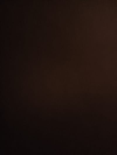 The image is a dark, blurry photograph with no discernible subjects, objects, actions, or interactions. The dominant color is a deep brown, with some lighter brown or reddish-brown tones appearing in a gradient from the right side of the image towards the center. There is no indication of a specific location within Veselynove, Ukraine, or any other identifiable environmental details. The image appears to be abstract due to its lack of focus and discernible features.