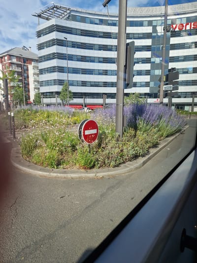 The image shows a traffic island in Antony, France, with a red and white circular "no entry" sign. The island is planted with a variety of flowers, including purple lavender and smaller white flowers. In the background, a modern, curved office building with a glass facade and horizontal white accents dominates the scene. To the left of the office building, a residential building with red brick and balconies is visible. A traffic light is mounted on a pole in the foreground. The sky is partly cloudy. The image appears to be taken from a vehicle, as a portion of the vehicle's interior is visible along the right edge.
