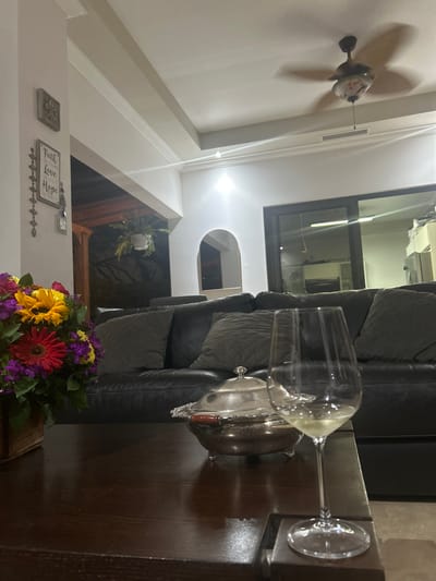 The image shows a living room in a home located in Río Oro, Costa Rica at latitude 9.945, longitude -84.201. There is a black leather couch with gray pillows, a wooden coffee table with a silver serving dish on it, and a glass of white wine on a coaster. The room is lit by an overhead ceiling fan and natural light coming in from a large window and an arched window. A bouquet of flowers is in a wooden planter on the coffee table. There is a wooden sign on the wall that says "faith, love, hope". The room appears to be furnished and decorated in a modern style.
