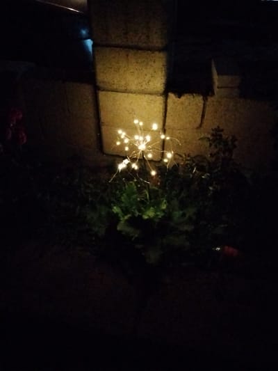 A close-up, low-angle shot captures a cluster of delicate, dandelion-shaped lights embedded in greenery at night. The lights, resembling tiny glowing orbs suspended on thin wires, emanate a warm, yellow-white glow, creating a whimsical, starburst effect. They are situated in a garden or outdoor setting, with dark foliage and shadows dominating the foreground and background.

Behind the lights, a rough-textured, weathered wall or structure made of large, rectangular stones is visible. The stone is illuminated by the ambient light of the decorative lights, casting a warm, golden hue. To the left of the frame, hints of dark pink or red flowers can be seen, adding a touch of color to the otherwise dark scene.

The time of day is clearly night, with deep shadows and limited natural light. The overall mood is serene and magical, with the twinkling lights creating a festive or enchanting atmosphere. There is no visible text in the image. The setting appears to be a garden or yard, possibly in a residential area, with the stone structure suggesting an outdoor patio or garden feature.