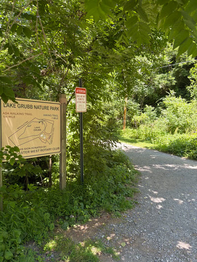 This image depicts a scene at Lake Grubb Nature Park in West Hempfield Township, Pennsylvania, United States of America. The foreground features a gravel pathway curving to the right, bordered by lush green vegetation and grass. To the left of the pathway stands a large, light-colored sign for "LAKE GRUBB NATURE PARK," which includes a map of the park's trails, indicating an "ADA WALKING TRAIL 1/4 MILE" along Ironville Pike and a "HIKING TRAIL 1 MILE" along Hempfield Hill Road. Below the map, text indicates the sign was donated by the Lancaster West Rotary Club.
Adjacent to the park sign is a smaller, red and white "ATTENTION" sign stating "DOGS ARE NOT PERMITTED AT THIS PARK." To the right of the signs, a wooden utility pole is visible, and further into the background, the pathway continues through a heavily wooded area with dense foliage and trees. Sunlight filters through the leaves, creating dappled shadows on the ground and pathway. No people or animals are visible in the image.