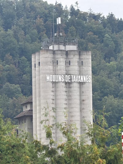 A concrete silo structure, identified by the sign "MOULINS DE TAVANNES" in white lettering, stands against a backdrop of dense green trees. The silo is tall and cylindrical, with distinct vertical segments and a few dark rectangular openings visible on its surface. To the left of the main silo, a smaller building with a dark, sloped roof is partially visible, connected to the larger structure. The foreground is filled with lush green foliage, including several coniferous trees with a wispy appearance. The sky above is overcast, casting a muted light on the scene. The image appears to be taken outdoors, possibly in the outskirts of Tavannes, Switzerland, given the signage. There are no people or animals visible in the frame.