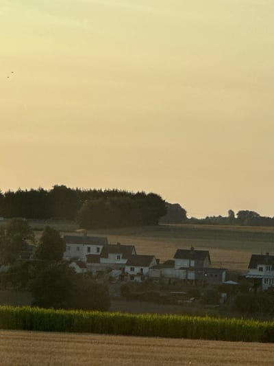An outdoor, medium-distance, slightly elevated shot captures a rural village nestled amongst rolling hills under a pale yellow sky. The scene is dominated by a cluster of modest, dark-roofed houses with white walls, some featuring visible windows and chimneys. These dwellings are situated on a gentle slope, partially obscured by dark green trees and foliage. In the foreground, a strip of vibrant green vegetation runs horizontally across the frame, separating a sun-drenched field of dry, light brown stubble from the village. The background is a dark, dense line of trees that forms a silhouette against the hazy sky. The sky itself is a soft, uniform yellow, suggesting either dawn or dusk, with three small, dark specks, possibly birds, visible in the upper left quadrant. There are no visible people or animals in the scene, and no discernible actions or interactions taking place. The overall impression is one of quiet tranquility in a rural setting.