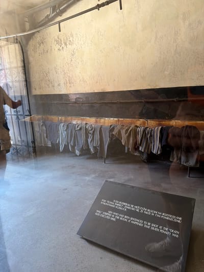 This media file depicts a somber exhibit, likely within a museum or memorial. The primary subjects are a collection of tattered clothing items, hung on metal rods against a dark, distressed wall. These garments, primarily striped shirts and trousers, appear old and worn, suggesting a historical context of hardship and possibly imprisonment.
In the foreground, a dark-colored plaque with text in both Polish and English is visible, leaning against a textured floor. The text on the plaque reads: "TUTAJ ROZBIERALI SIĘ MĘŻCZYŹNI SKAZANI NA ROZSTRZELANIE POD 'ŚCIANĄ ŚMIERCI', ZDARZAŁO SIĘ, ŻE TAKŻE W TYM POMIESZCZENIU WYKONYWANO EGZEKUCJE" and "MEN WHO HAD BEEN SENTENCED TO BE SHOT AT THE 'DEATH WALL' STRIPPED IN THIS ROOM. IT HAPPENED THAT DEATH PENALTY WAS ALSO EXECUTED HERE." This inscription clearly indicates the location is associated with executions and the suffering of men, placing it within a historical context of significant human tragedy.
The setting appears to be indoors, with a plain, textured wall on the left and a polished concrete floor. The lighting is subdued, contributing to the serious and reflective mood of the scene. The overall impression is one of remembrance and a testament to past atrocities, likely related to events at Auschwitz-Birkenau, given the mention of "Oświęcim, Poland" in the location context. There is a reflective surface, possibly glass or a polished material, obscuring parts of the scene, suggesting the items are protected for display.