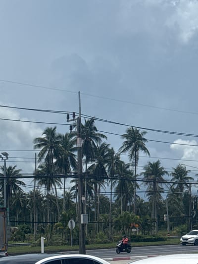 This is a tilted, close-up shot of a street scene featuring a dense line of palm trees against a cloudy sky. Utility poles and wires are prominent in the foreground, obscuring parts of the palm trees. The scene appears to be a roadside, as suggested by the edge of a white vehicle on the far right, driving on a paved road with lane markings. A motorcycle with a red rider is visible further down the road, parked near the trees. The overall impression is that of a tropical or subtropical location, possibly Thailand, given the presence of palm trees and the style of the utility poles. The weather appears overcast or partly cloudy, suggesting it could be daytime, though the specific time is not clear. No text is discernible in the image.